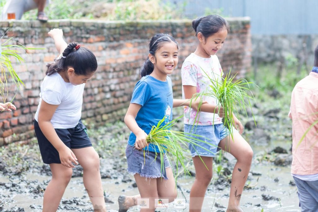 Lovely Home students planting rice seedlings during a hands-on farm field trip