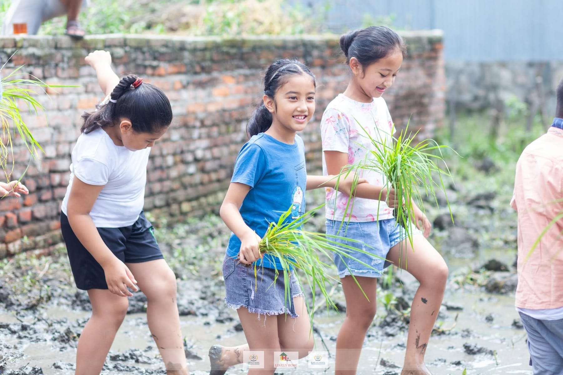 Lovely Home students planting rice seedlings during a hands-on farm field trip